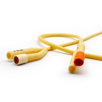 Cranberry Sonda Foley 12 FR Unidad